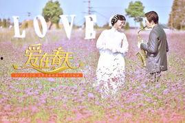 爱在春天全集在线观看,浪漫邂逅，青春旋律  第3张