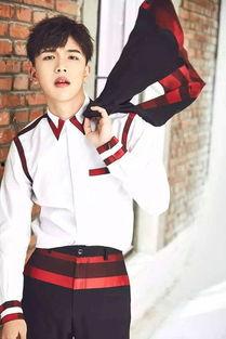 王振宇爆料完整版视频,事件真相与幕后黑幕  第2张