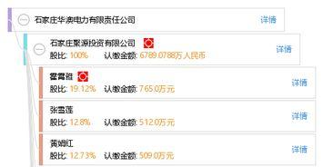 石家庄电力最新爆料,最新爆料揭示行业变革趋势  第3张